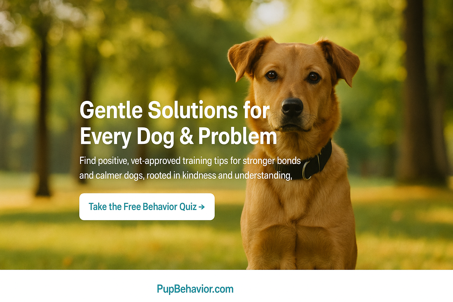 Leash Manners and Outdoor Behavior